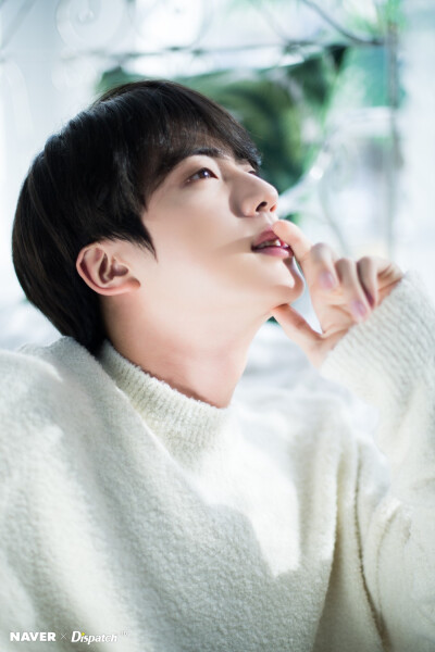 Jin 金硕珍 BTS 防弹少年团 20181224 Naver x Dispatch更新