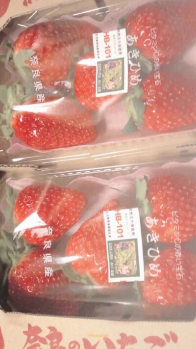 日杂 仙女 壁纸 背景