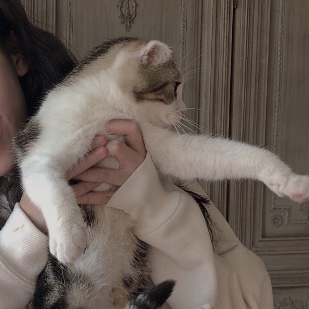 二传注明: 堆糖野璎