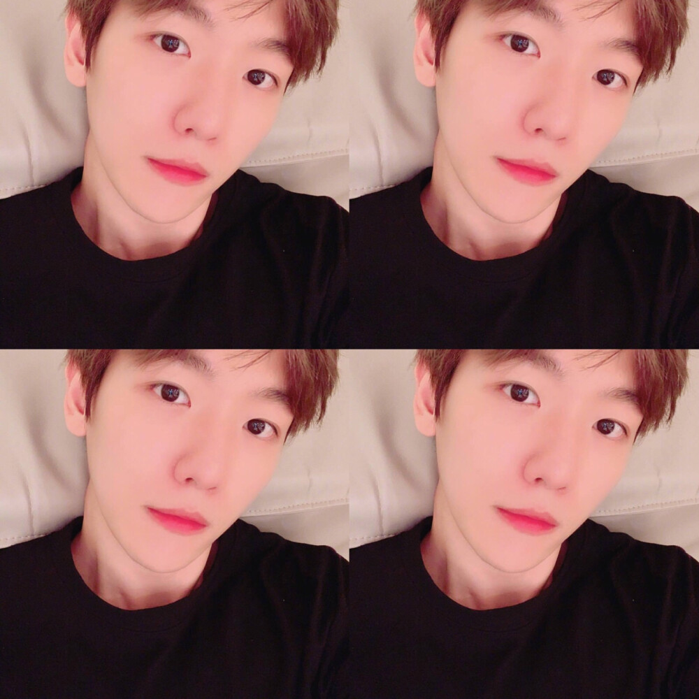 边伯贤 四格图#头像