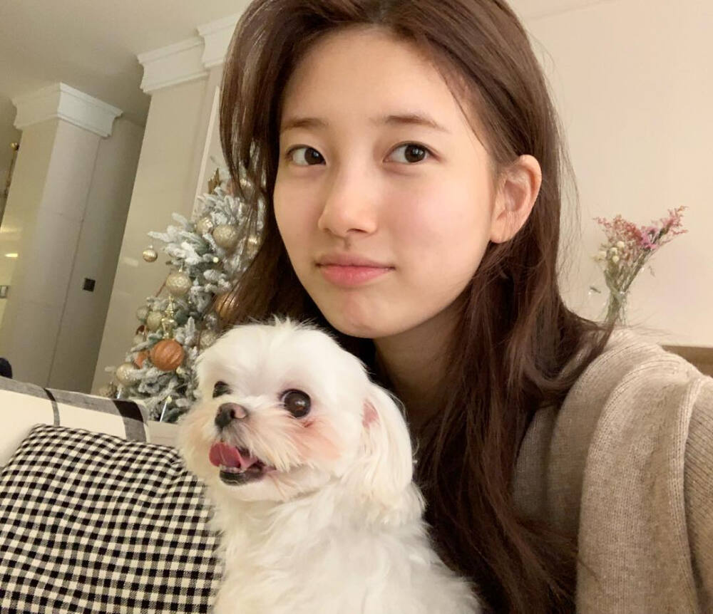 裴秀智Suzy