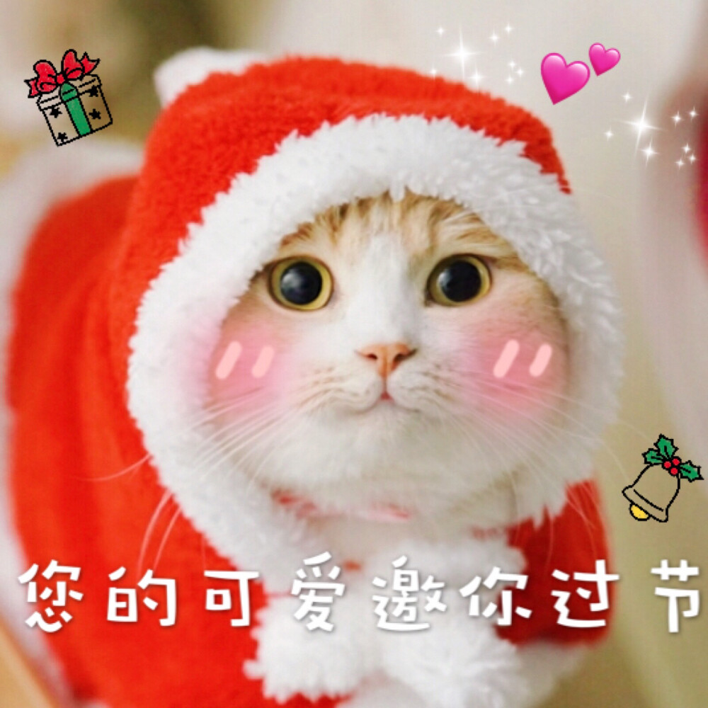 表情包