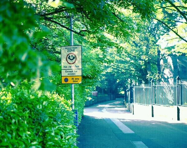 风居住的街道