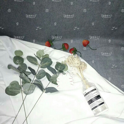 欢迎加入闲客12.25，群聊号码：749226247