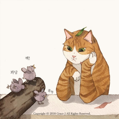 猫咪 水彩 GraceJ插画