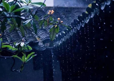 落雨