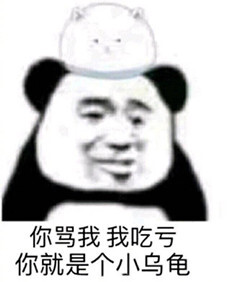 你骂我我吃亏你就是个小乌龟