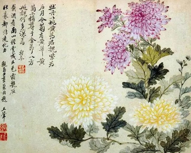 明末清初 恽寿平作品鉴赏
恽寿平画花卉用没骨法，他做人很有骨气
恽寿平的花鸟画极其养眼，清雅明丽，婉约多姿。展画观之，只觉一股清新之气扑面而来，令人心情舒畅。所谓画如其人，每一个看过恽寿平花鸟画的人，都会觉得他是一个高雅俊秀、气定神闲的人。恽寿平少年时期几经离乱，与许多奇人义士交游，一同出生入死，别人都忧愁满怀，只有他神态安详，意气如常。