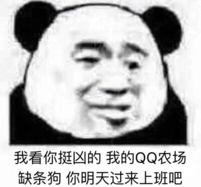 表情包