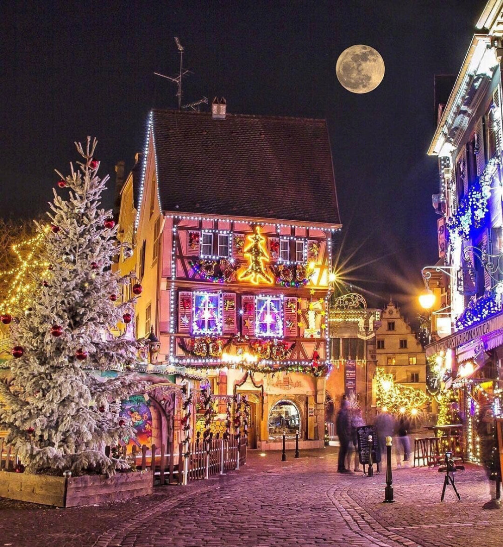 期待能和喜欢的人一起过圣诞节✨