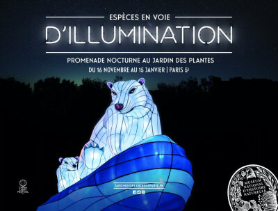 ESPÈCES EN VOIE D’ILLUMINATION／法国自然历史博物馆举办的灯展，主题分四个部分： 6500万年前灭绝的动物，因人类而导致灭绝的动物，正在遭受灭绝威胁的动物，目前存在动物的种类代表。／这完全不是我认识的灯展啊…