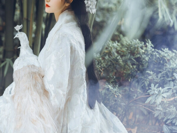 【鹿半生】自截女主橙光素材
二转注明鹿半生