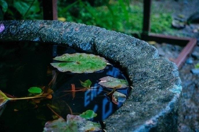 杭州灵隐寺，我想出家了。