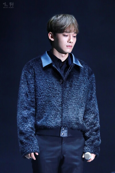 EXO CHEN 金钟大 Kim Jong Dae 美男