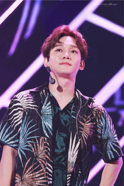 EXO CHEN 金钟大 Kim Jong Dae 美男