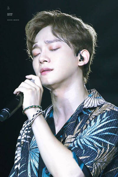 EXO CHEN 金钟大 Kim Jong Dae 美男