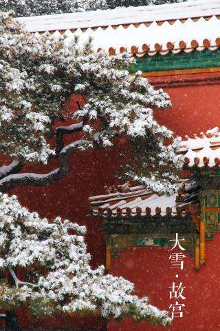 故宫的雪
