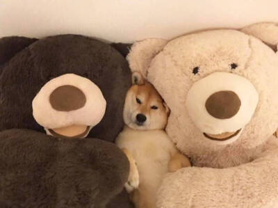 学不下去也要继续学哇⊙ω⊙