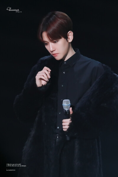 BAEKHYUN 边伯贤