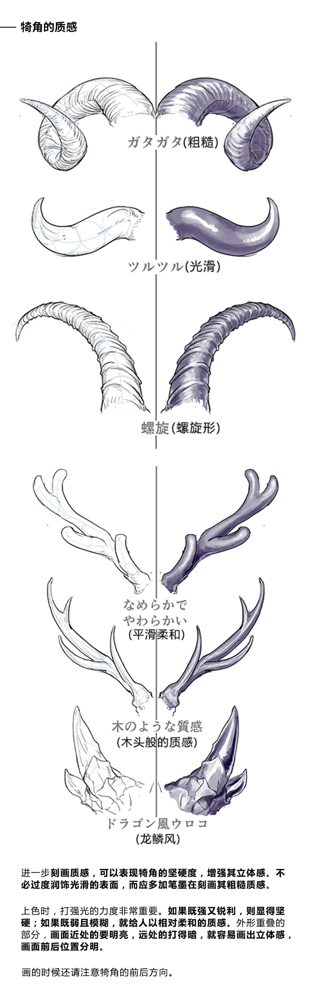 动物结构