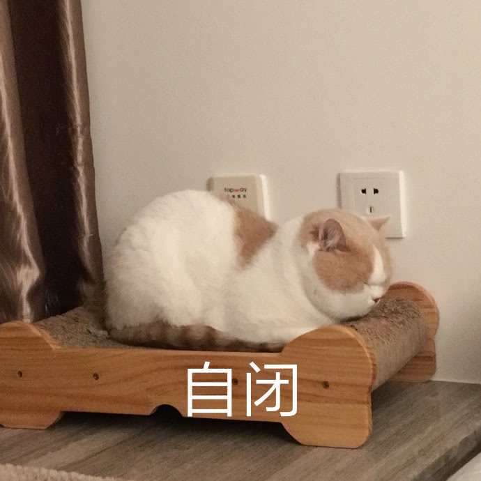 表情包 哦哦哦哦哦泡果奶