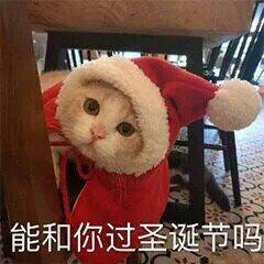 表情包 哦哦哦哦哦泡果奶