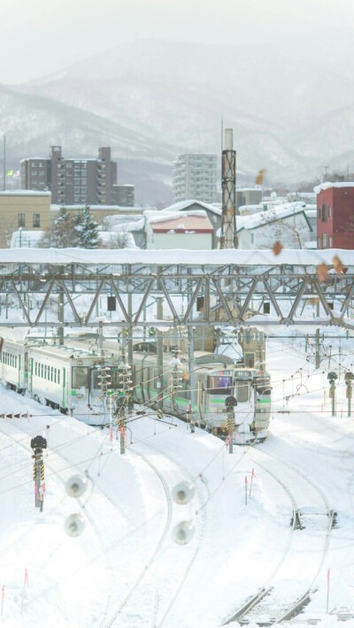 北海道雪景壁纸