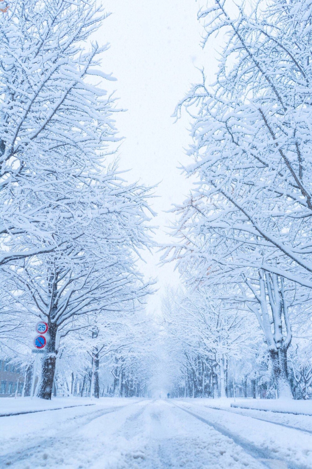 北海道雪景壁纸