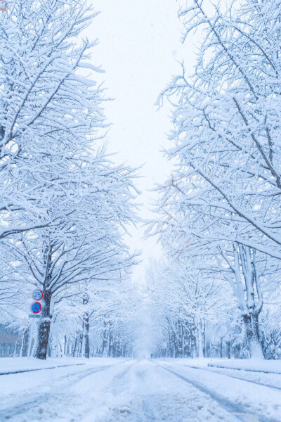 北海道雪景壁纸