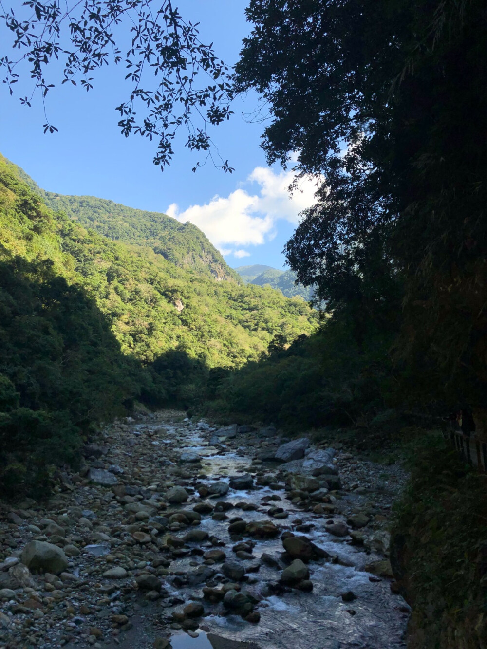 湾湾游记