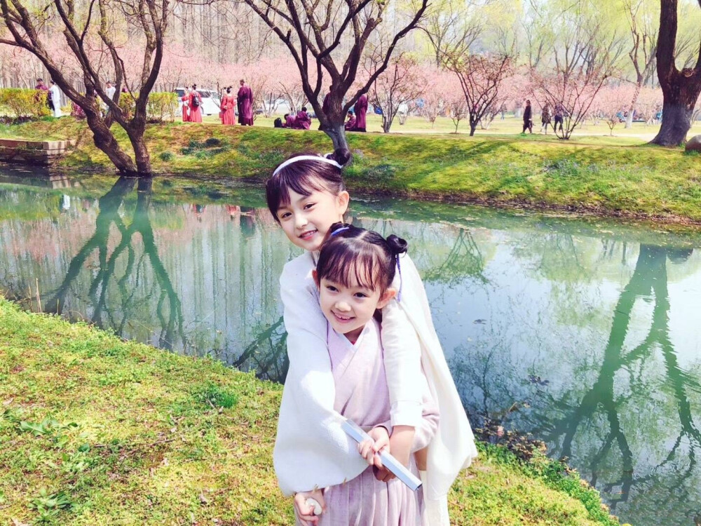 知否知否应是绿肥红瘦