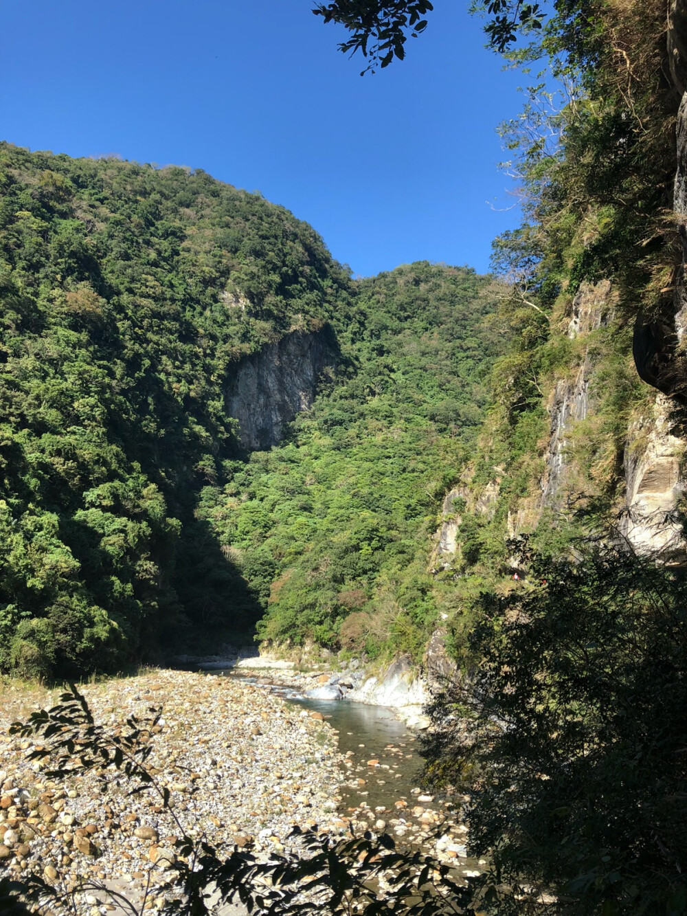 湾湾游记