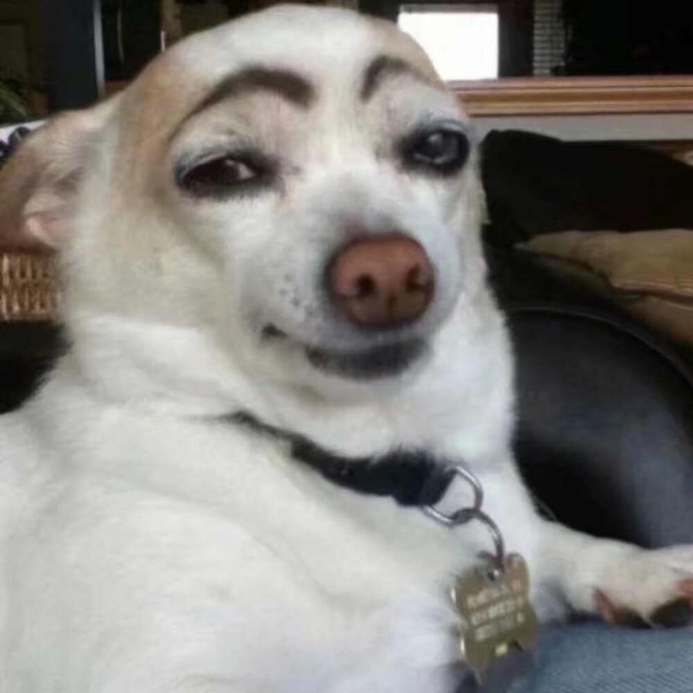 情侣头像，恶搞头像，非主流头像