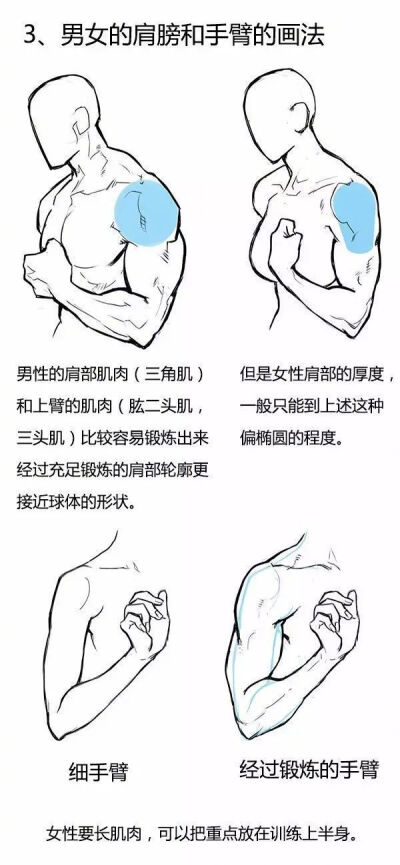 结构 素描 手绘 人体