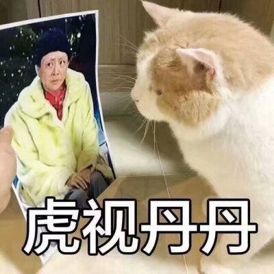 斗图.表情包.猫咪.可爱.爱你
拿图点赞by池幼Chiyou.