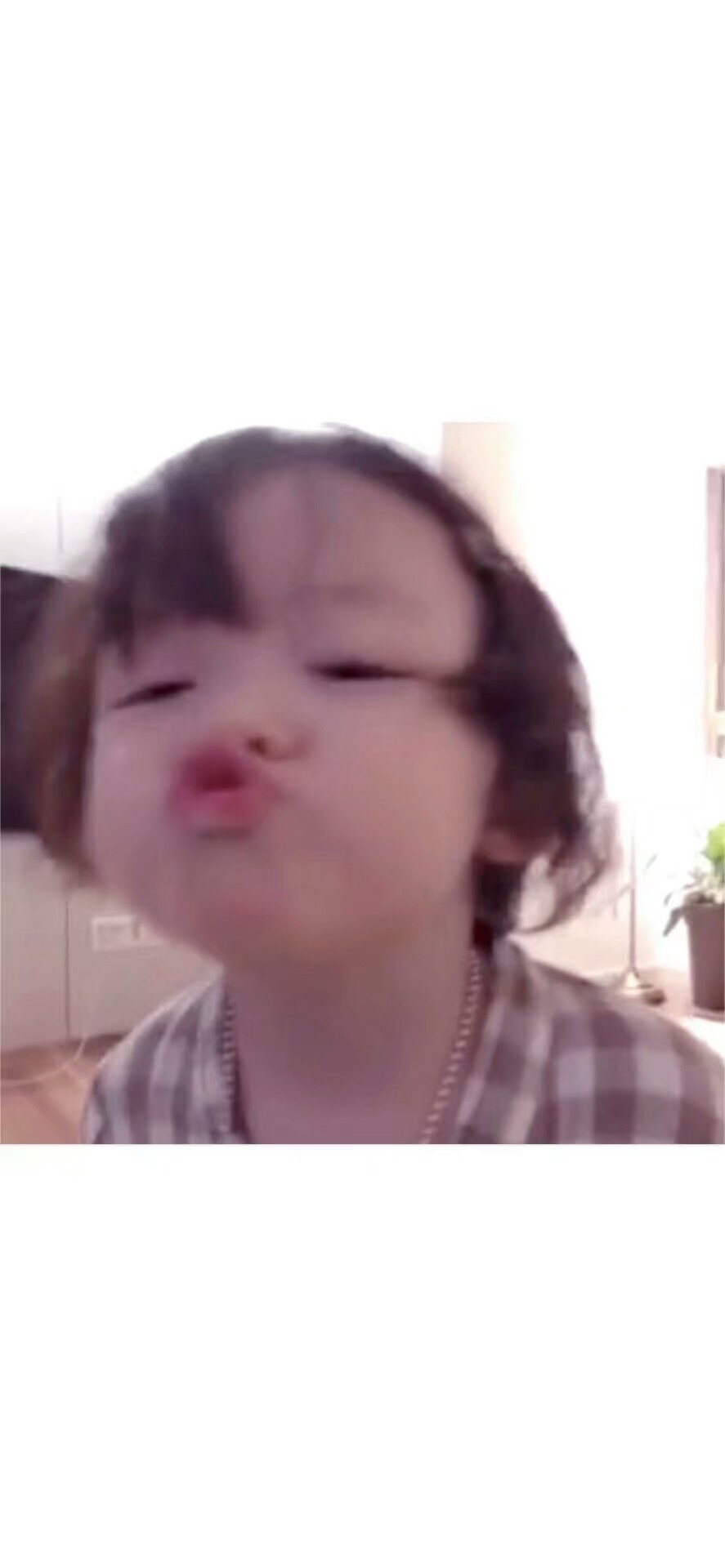 背景 壁纸 沈绿绿