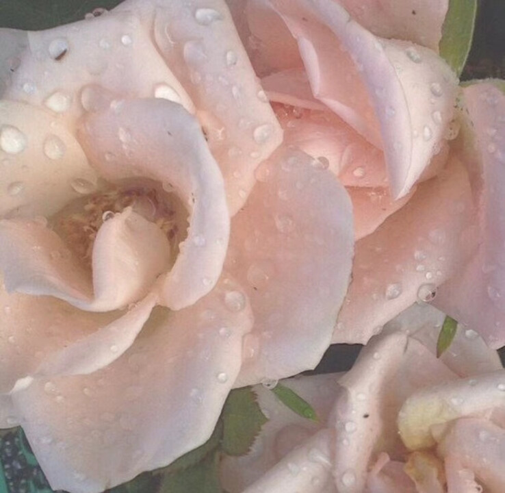 少女壁纸背景图