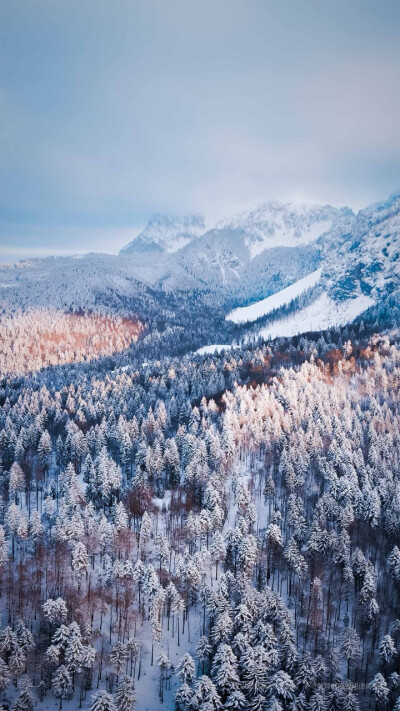 雪景，航拍，冰雪森林