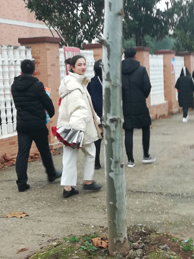 2018年的倒数第三天