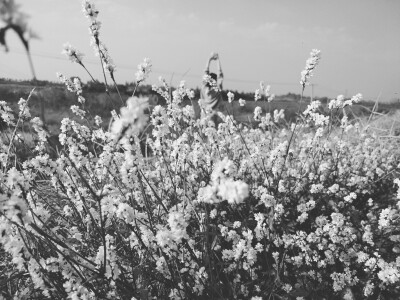 二零一八年的倒数第三天