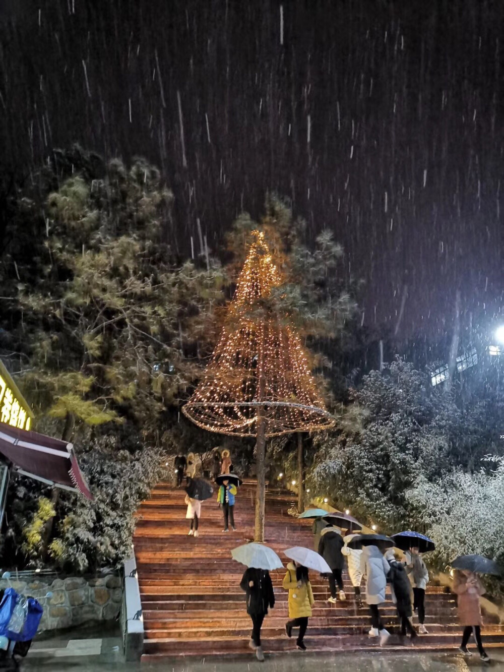 12.25《圣诞节》
学校装扮的圣诞树 刚好下雪啦