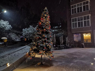 12.25 《圣诞节》
学校装扮的圣诞树 刚好下雪啦