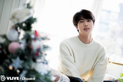 Jin 金硕珍 BTS 防弹少年团 181229 Vlive x Dispatch更新