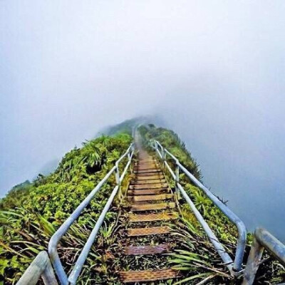 美国夏威夷瓦胡岛Haiku Stairs，通往天国的阶梯。