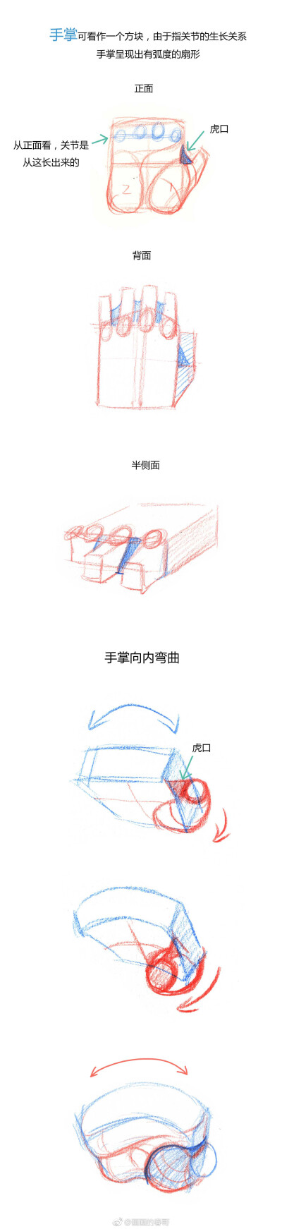 手到底怎么画？（比例+转折） （作者： 画画的春哥 ）