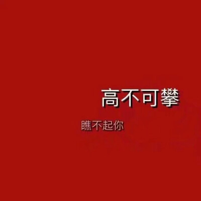 文字呛，猫，壁纸