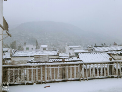 踩着12月的尾巴，终于下雪了