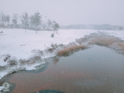 第二场雪