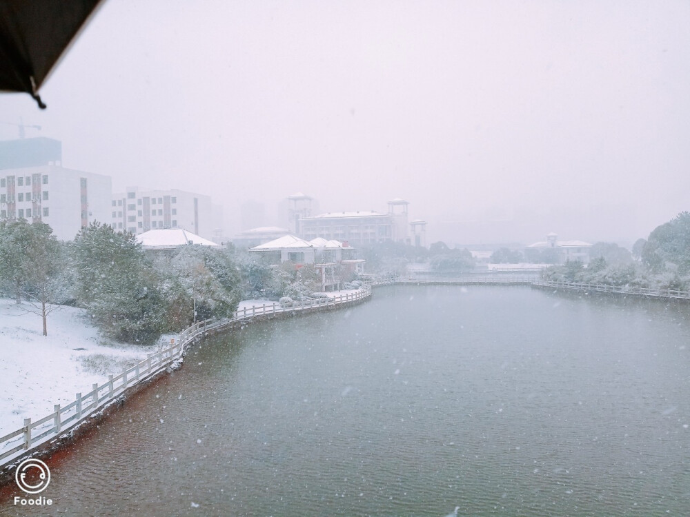 第二场雪