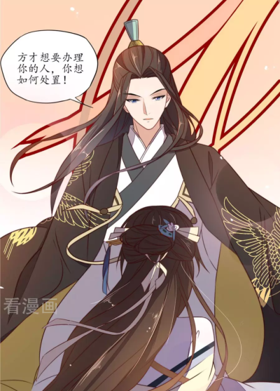 王妃的婚后指南